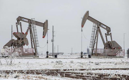 国际油价走低,炼厂受制于德州严寒 但众投行仍给多头背书